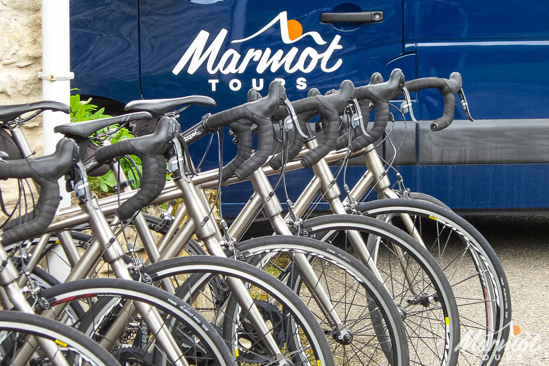 Close up view of Marmot Tours hire bike handlebars and front wheels