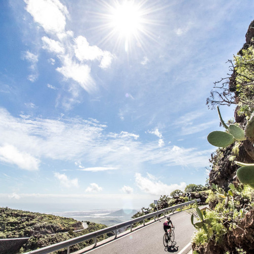 Cyclist climbing I full sun alongside cacti on guided road cycling tour Gran Canaria with Marmot Tours